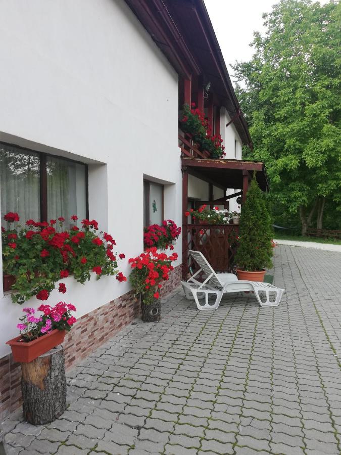 Pensiunea Broscuta Horezu Exteriér fotografie