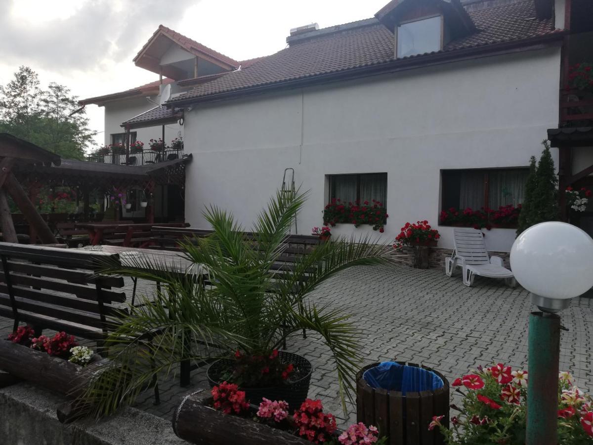 Pensiunea Broscuta Horezu Exteriér fotografie