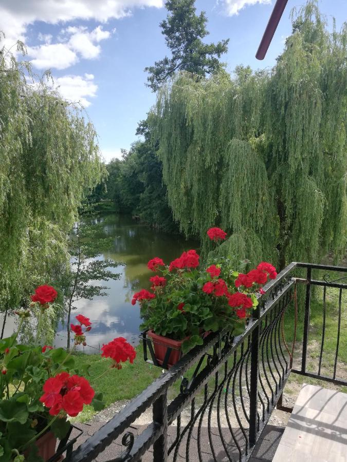 Pensiunea Broscuta Horezu Exteriér fotografie