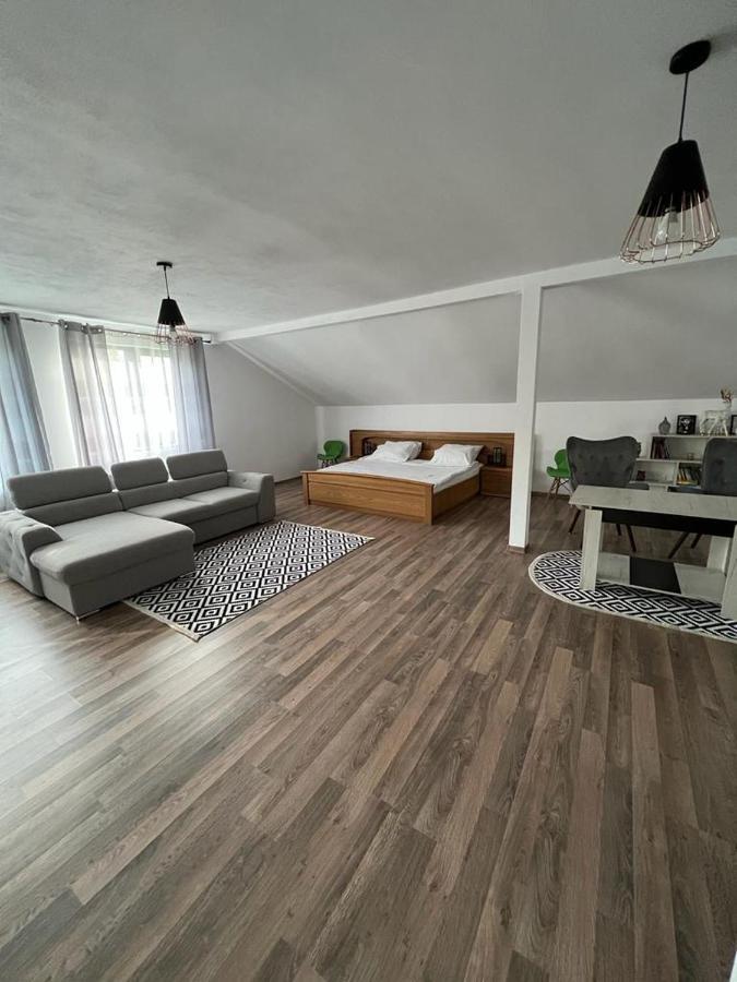 Pensiunea Broscuta Horezu Exteriér fotografie