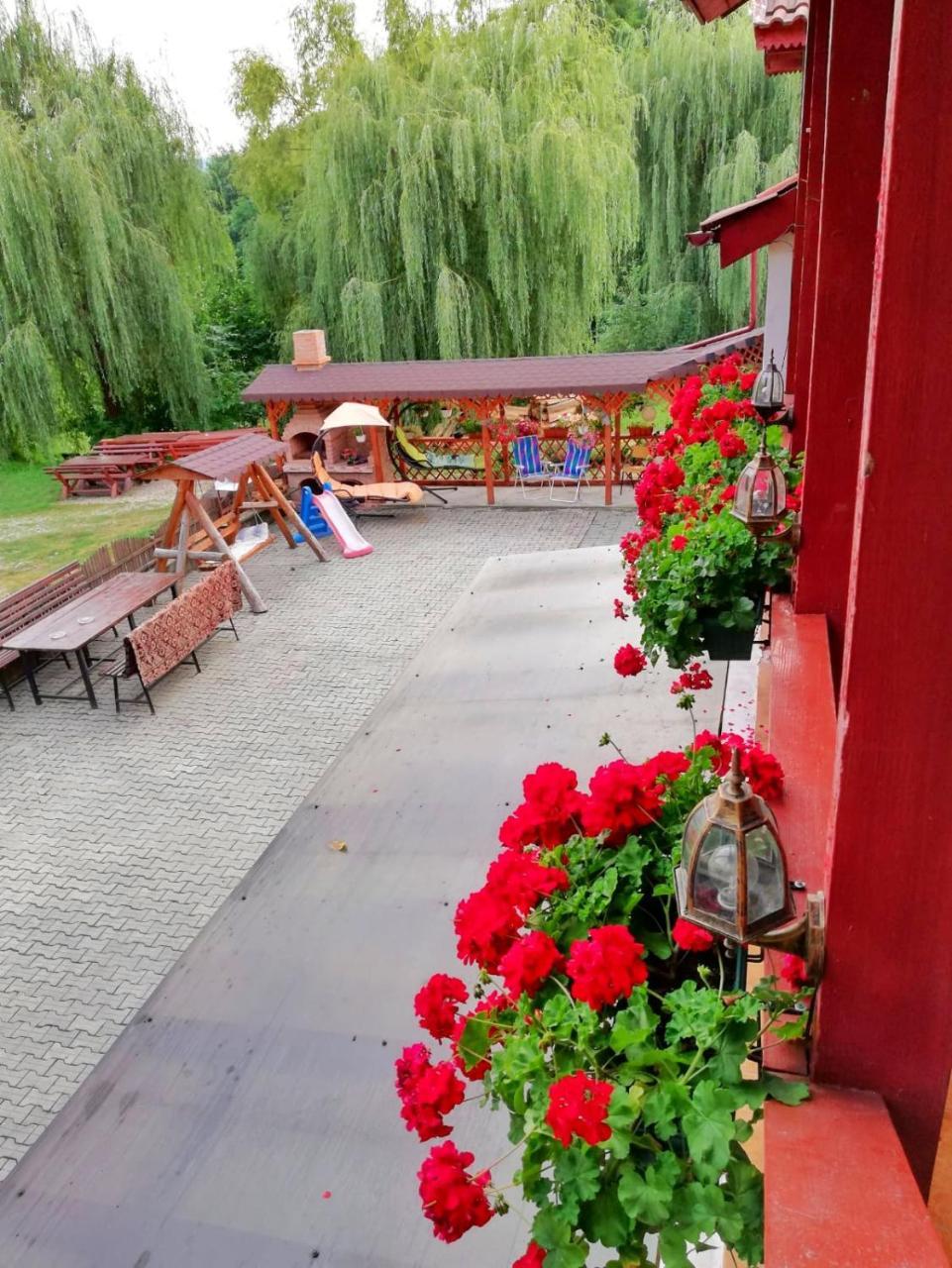 Pensiunea Broscuta Horezu Exteriér fotografie