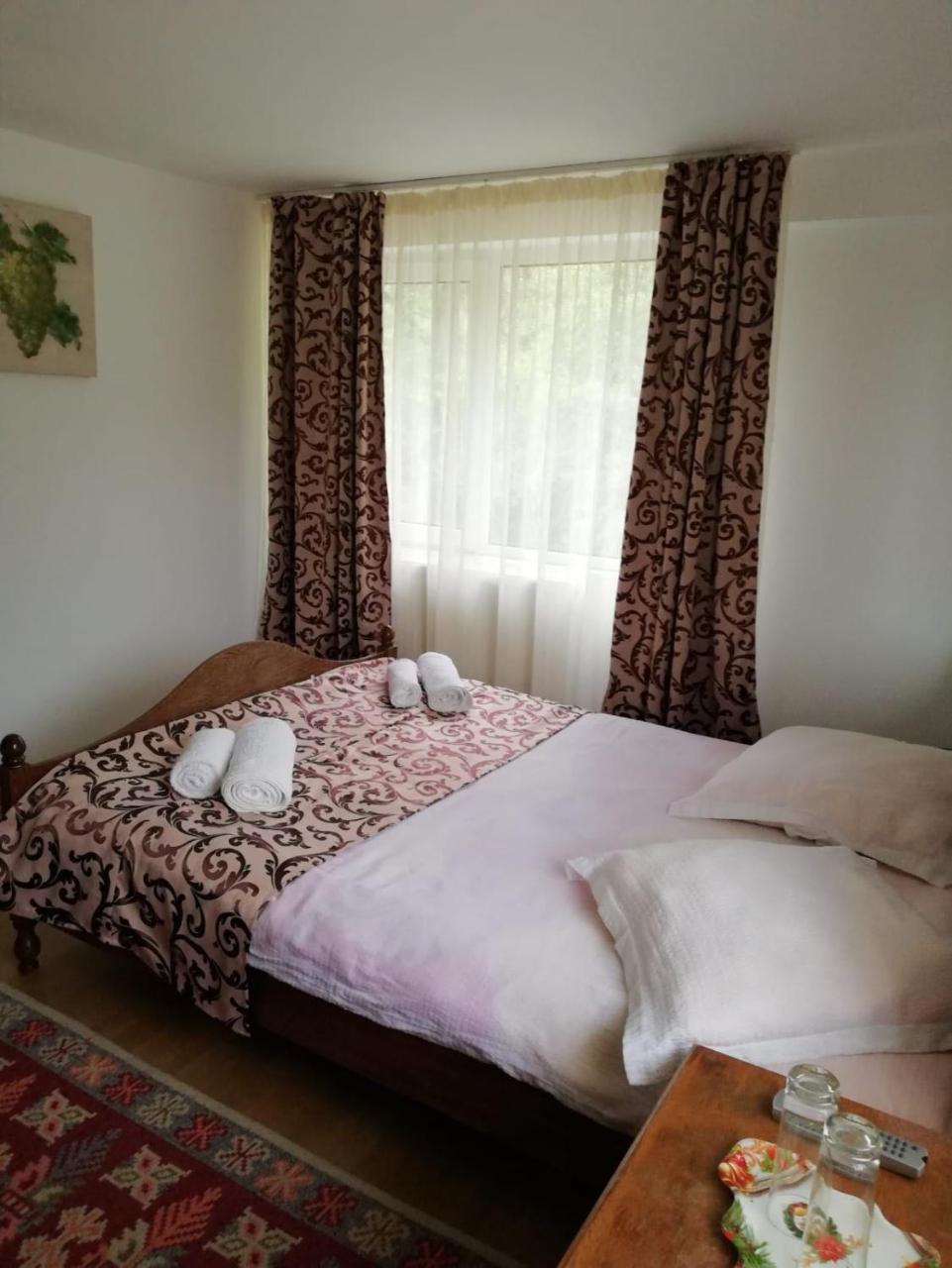 Pensiunea Broscuta Horezu Exteriér fotografie